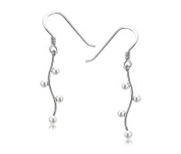 Wonderful Design Silver Earring SPLE-07